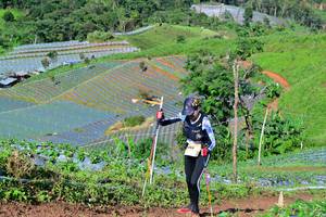 BIB: 
                            <button type="button" onclick="openModal(13379318)" class="btn btn-primary btn-sm float-right btn-popup" data-toggle="modal" data-target=".modal-high-quality">
                        <i class="fas fa-shopping-cart"></i> Add to Cart
                    </button>
                                            <button type="button" onclick="isThisMe(13379318, true)" class="btn btn-success btn-sm float-right btn-popup btn-isme hidden" data-toggle="tooltip" data-placement="bottom" title="นี่คือรูปของคุณใช่ไหม คลิกที่นี่เพื่อเอาเข้าอัลบั้ม">
                        <i class="fas fa-plus"></i> Add to album
                    </button>
                    <button type="button" onclick="isThisMe(13379318, false)" class="btn btn-warning btn-sm float-right btn-popup btn-isnotme hidden">
                        <i class="fas fa-ban"></i> Remove from album
                    </button>